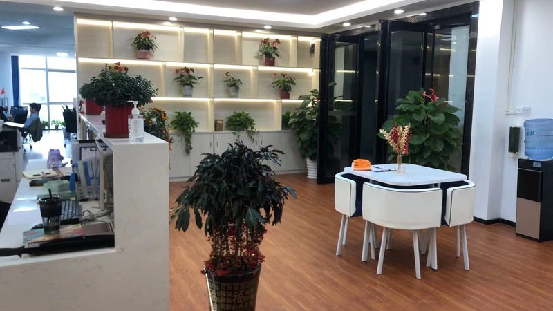 成都可行性研究报告：经济效益评价的关键要素与误区