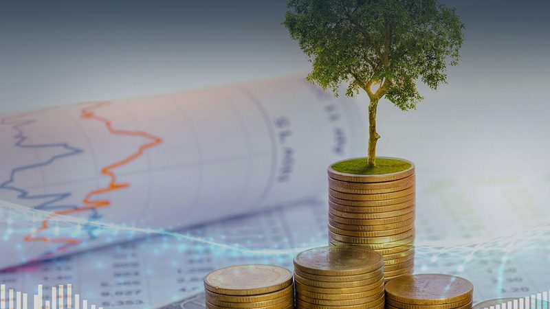 创业公司股权分配：如何平衡利益与风险**